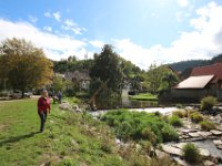 Schiltach-Gambert (1)