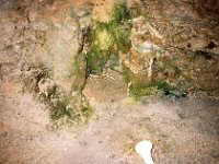 img31072017 087